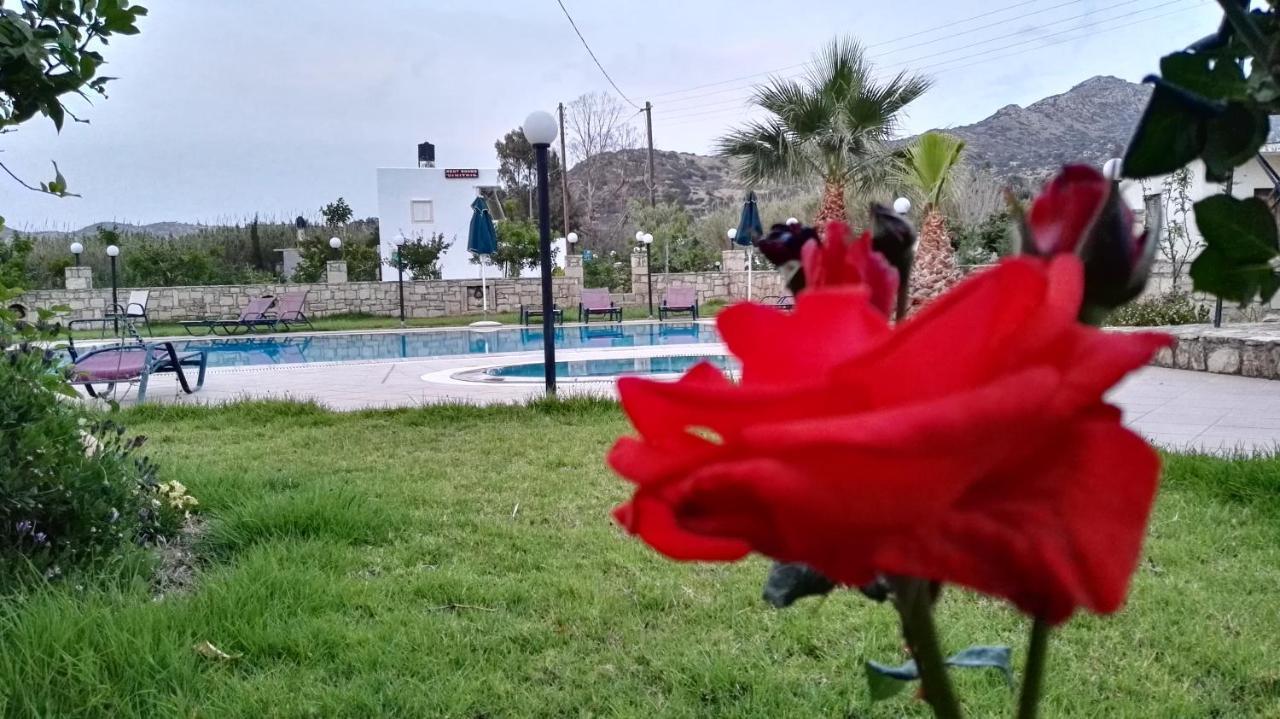 Dimitris Villa Hotel Matala  Ngoại thất bức ảnh