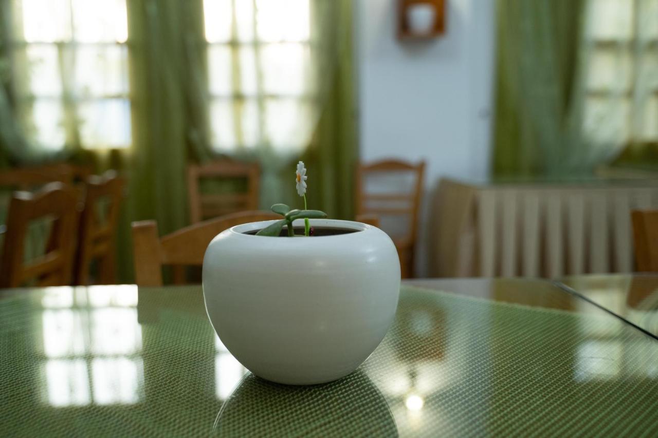 Dimitris Villa Hotel Matala  Ngoại thất bức ảnh